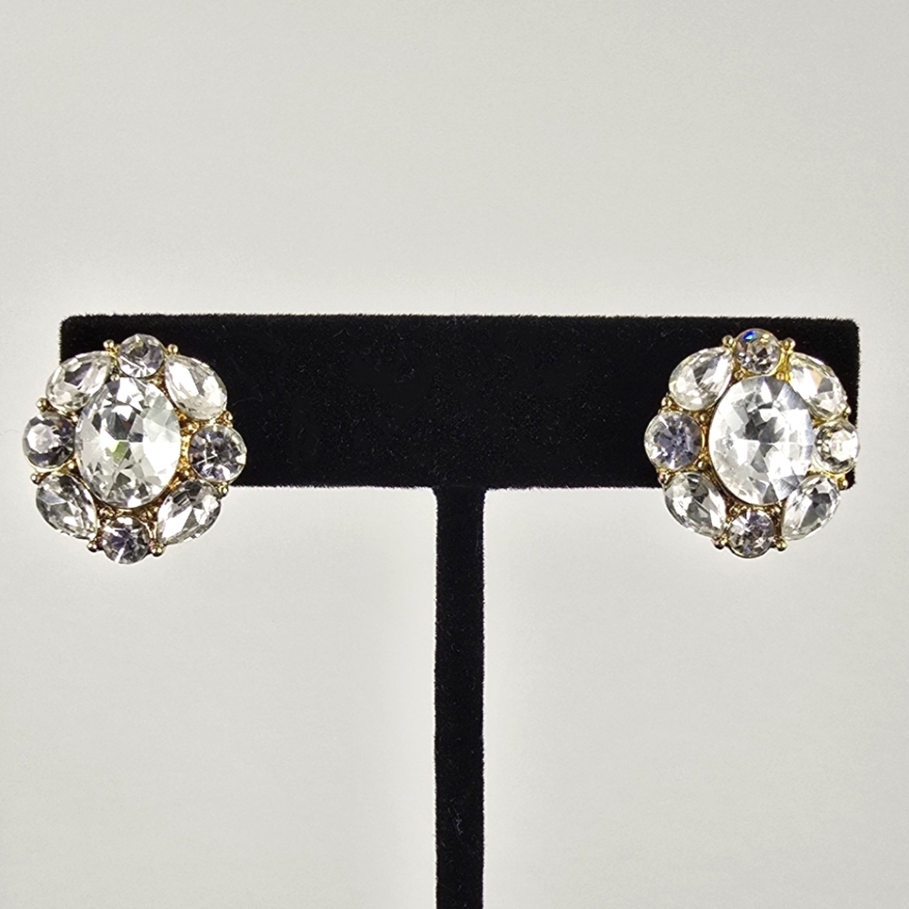 Stunning Crystal Earrings